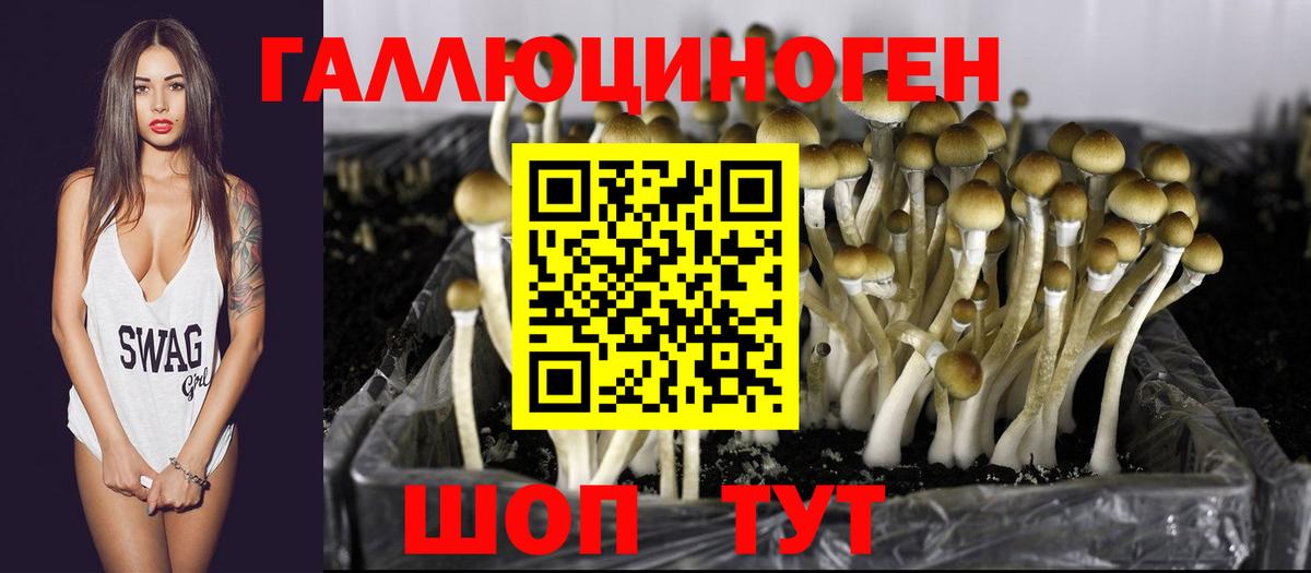 Усть-Кут  Псилоцибиновые грибы MAGIC MUSHROOMS  Вход с VPN 